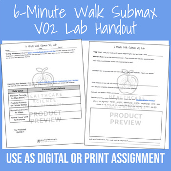 Preview of 6-Minute Walk Submax VO2 Lab Handout (EDITABLE)