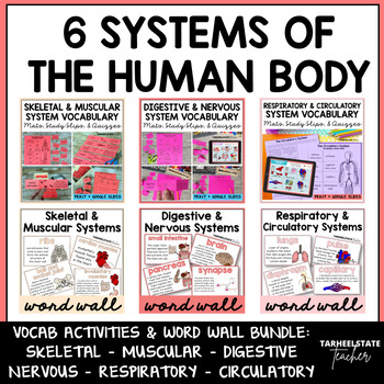 Preview of 6 Systems of the Human Body Activities and Definitions Word Walls Bundle