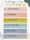 6 Things I Can Control Visual Poster