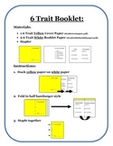 6 Traits Booklet/Flipbook