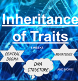 6 WEEKS SLIDES! Inheritance of Traits, DNA Structure, cent