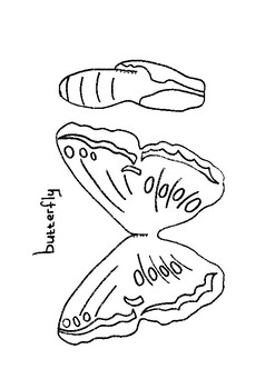 Preview of 6 insect model maker - science minibeasts