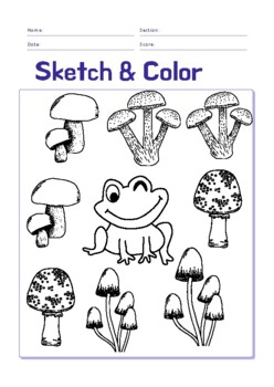 Preview of 6 sheet of coloring- butterfly,shark,mushroom&frog.....