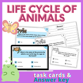 Preview of Life cycle of Animals Task Card