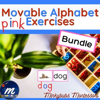 Preview of 60 Movable Alphabet Pink Language Picture Cards Activity CVC words Sets 1, 2, 3