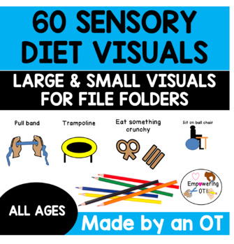 Preview of 60 sensory diet visuals .... includes large  + small visuals for file folder