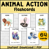 64 Animal Action Flash Cards | Animal Movement Activity