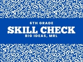 6th Grade, Big Ideas, Skill Checks, Chapters 1-10