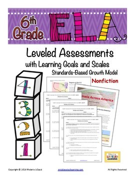 Preview of 6th Grade ELA RI Leveled Reading Comprehension Passages Assessment