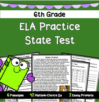 Preview of 6th Grade ELA Practice State Test #2