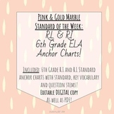 6th Grade ELA Standard Anchor Charts Pink and Marigold