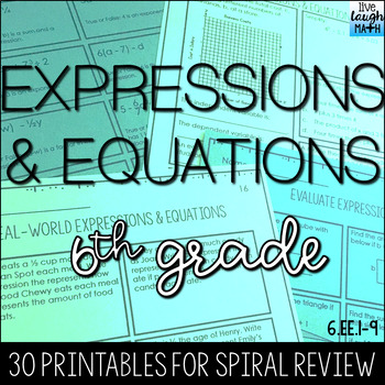 Preview of 6th Grade Expressions & Equations Practice for Review, Test-Prep, or Assessment