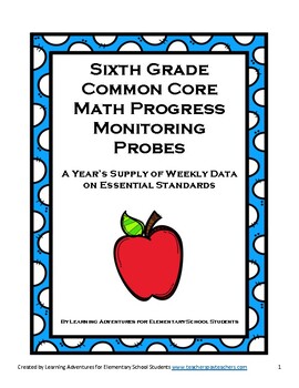 Preview of Sixth Grade Math Common Core Progress Monitoring Assessment Pack