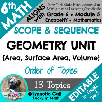 Preview of 6th Grade Math Geometry Unit Plan Scope & Sequence EngageNY FREEBIE
