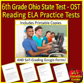6th Grade Ohio State OST Test Prep ELA Reading - SELF-GRADING GOOGLE Ohio Air
