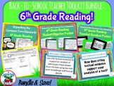 6th Grade Reading Teacher Toolkit {Reading Standards Break