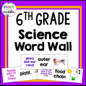 Preview of 6th Grade Science Word Wall Middle School - 326 Words!