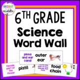 6th Grade Science Word Wall Middle School - 326 Words!