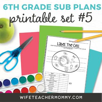 Preview of Emergency Sub Plans 6th Grade Printable Set #5