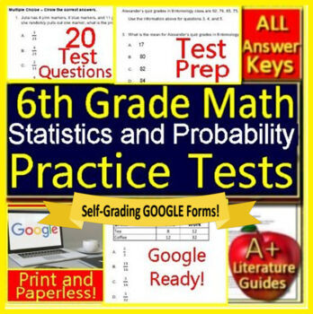 Preview of 6th Grade Math Statistics and Probability Digital Test Printable & SELF-GRADING