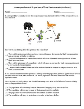 Interdependence Of Organisms Teaching Resources | TPT