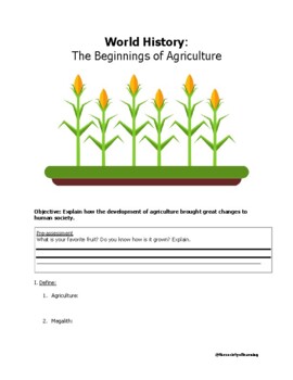 6th grade world history beginnings of agriculture worksheet tpt