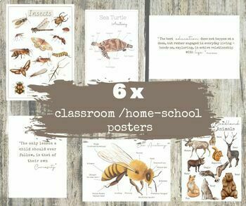 Preview of 6x natural learning inspired CLASSROOM POSTERS/ decor