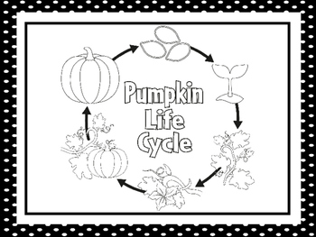 Preview of 7 Black and White Pumpkin Life Cycle Printable Science Poster Anchor Charts.