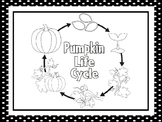 7 Black and White Pumpkin Life Cycle Printable Science Pos