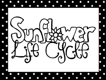 Preview of 7 Black and White Sunflower Life Cycle Printable Poster Anchor Charts.