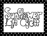 7 Black and White Sunflower Life Cycle Printable Poster An