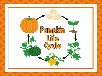 Preview of 7 Pumpkin Life Cycle Printable Classroom Poster Anchor Charts.