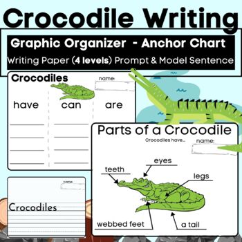 Preview of 7 Reptile Bundle - Labeling & Informative Writing Have Can Are Graphic Organizer