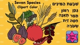 7 Species of Israel CLIPART - For Tu BiShevat and Shavuot