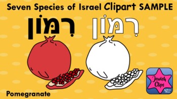 Preview of 7 Species of Israel CLIPART for Tu B'Shevat and Shavuot - Sample: Pomegranate