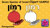 7 Species of Israel CLIPART for Tu B'Shevat and Shavuot - 