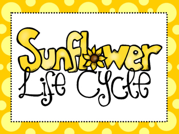 Preview of 7 Sunflower Life Cycle Printable Classroom Posters Anchor Charts.