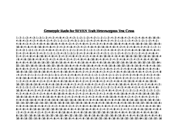 Preview of 7 Trait Heterozygous Punnett Square Test Cross Genotypic Ratio ANSWER KEY