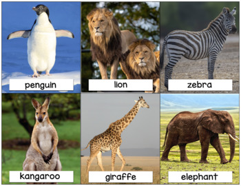 90 Animal Flash Cards Real Photos Of Animals By The Speechstress