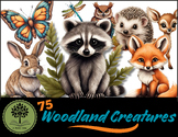75 Woodland Creatures {A Novel Idea Digital Clip Art}
