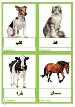 Preview of 76 animals flashcards in arabic/cartes d'animaux en arabe/بطاقات الحيوانات