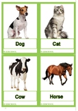 76 animals flashcards real pictures