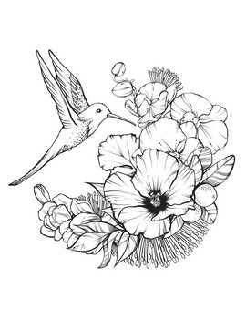 78 Adult Coloring Pages Hummingbirds & Beautiful Birds - Printable PDF ...