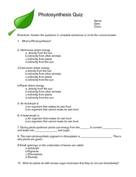 7th grade photosynthesis quiz multiple choice by lauren