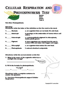 Preview of 7th grade photosynthesis, respiration and cellular division test - at grade lvl