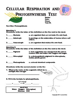 Preview of 7th grade photosynthesis, respiration and cellular division test - below lvl
