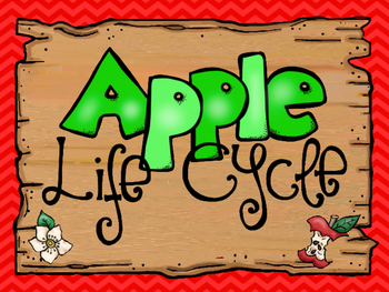 Preview of 8  Apple Life Cycle Printable Posters Anchor Charts.  8.5 x 11.