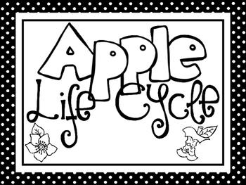 Preview of 8 Black and White Apple Life Cycle Printable Poster Anchor Charts.