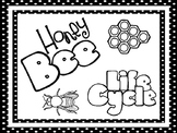 8 Black and White Honey Bee Life Cycle Printable Posters/A