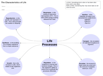 Preview of 8 Characteristics of Life